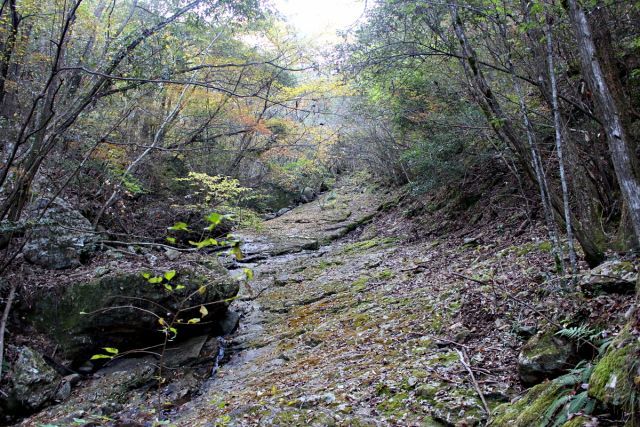 熊山 保々呂谷を登る!の巻_f0325295_17365263.jpg