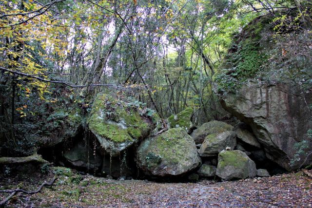 熊山 保々呂谷を登る!の巻_f0325295_17423922.jpg