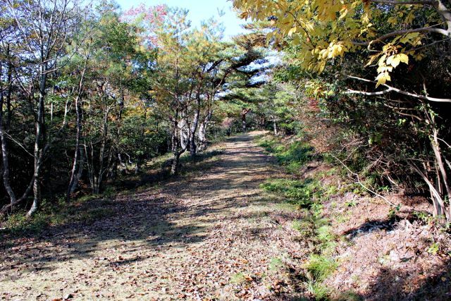 熊山 保々呂谷を登る!の巻_f0325295_17461378.jpg