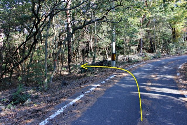 熊山 保々呂谷を登る!の巻_f0325295_18034801.jpg