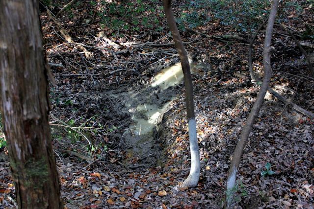 熊山 保々呂谷を登る!の巻_f0325295_18061461.jpg