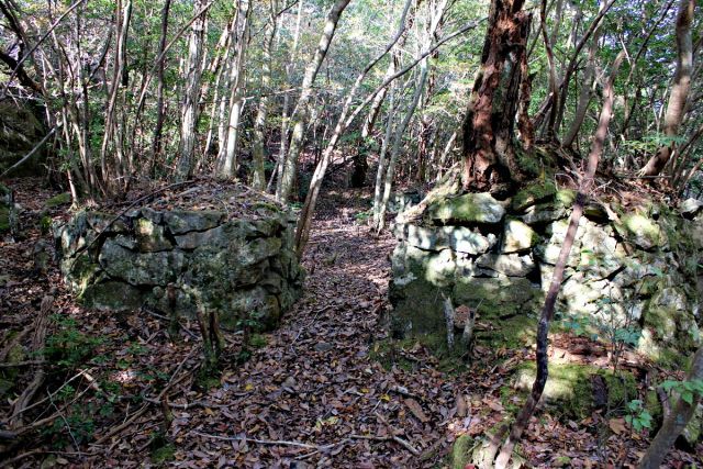 熊山 保々呂谷を登る!の巻_f0325295_18084976.jpg