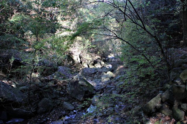 熊山 保々呂谷を登る!の巻_f0325295_18104398.jpg