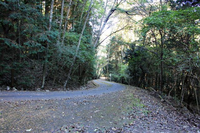 熊山 保々呂谷を登る!の巻_f0325295_18125700.jpg