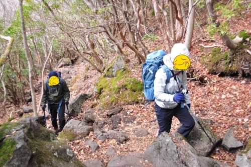 2020くじゅう第2弾！紅葉の残り香と初冬の風景　～くじゅう大船山、黒岩山～_e0314407_20505457.jpg