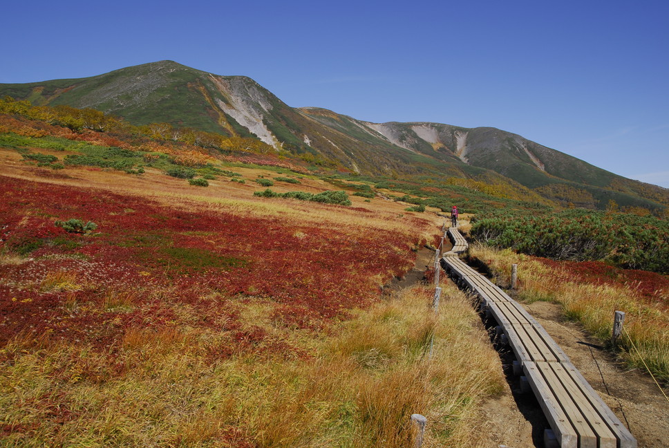 2020年9月 『日本一早い紅葉、大雪山緑岳、沼巡り』 September 2020 \"The Earliest Autumn in Japan -Mount Taisetsu-\"_c0219616_11461026.jpg