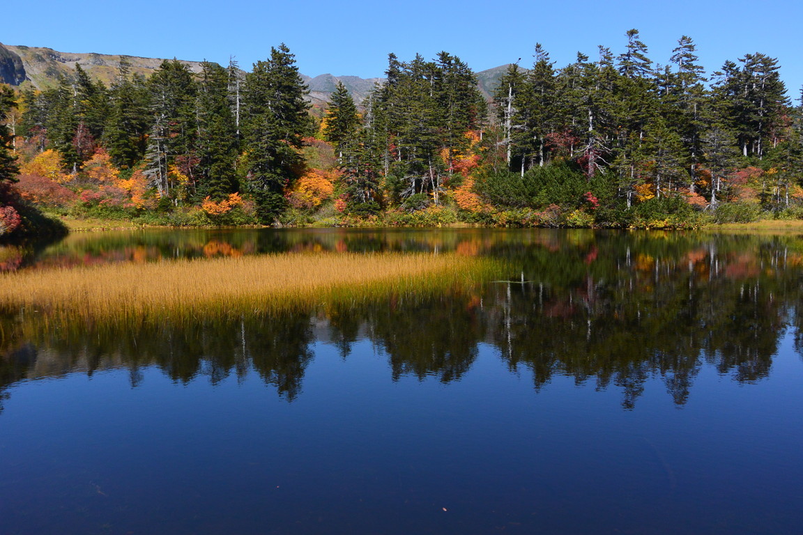 2020年9月 『日本一早い紅葉、大雪山緑岳、沼巡り』 September 2020 \"The Earliest Autumn in Japan -Mount Taisetsu-\"_c0219616_12022294.jpg
