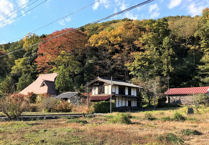 秋の深まり・・・(4437)_e0349324_08271357.jpg