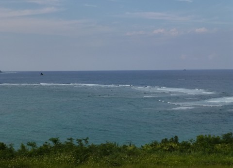 奄美大島 ビーチ巡り_e0237625_16342532.jpg