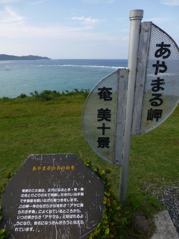 奄美大島 ビーチ巡り_e0237625_16355171.jpg