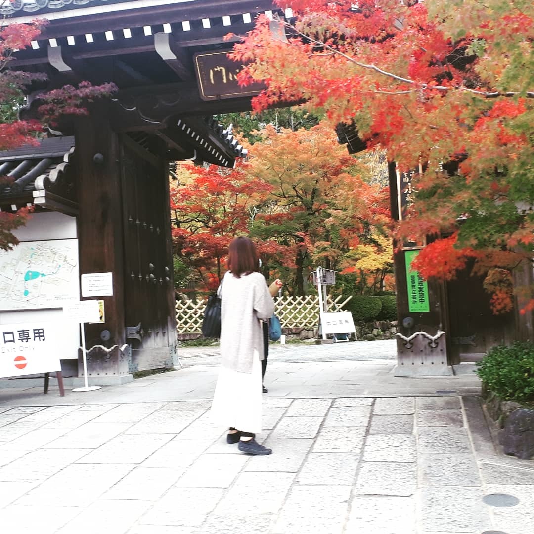 京都紅葉情報 南禅寺 永観堂 京都グルメタクシー おいしい京都 京都紅葉情報 南禅寺 永観堂 京都グルメタクシー おいしい京都