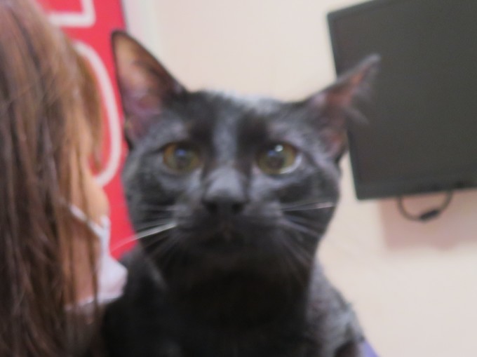 11月 13日の写真_c0174644_09394324.jpg