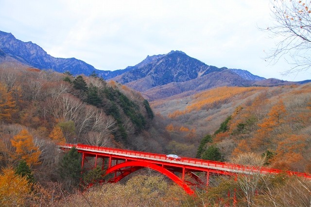 八ヶ岳　東沢大橋～萌黄の村_a0391145_16085272.jpg