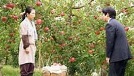 志田未来まで登場 (エール)_e0080345_05574659.png