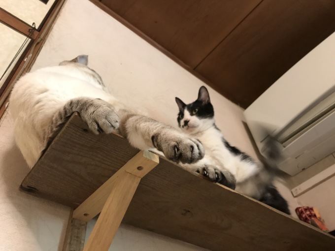 水筆ペンで_d0101846_06401213.jpeg