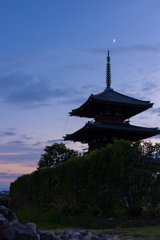 コスモス咲き乱れる法起寺_f0155048_23554008.jpg