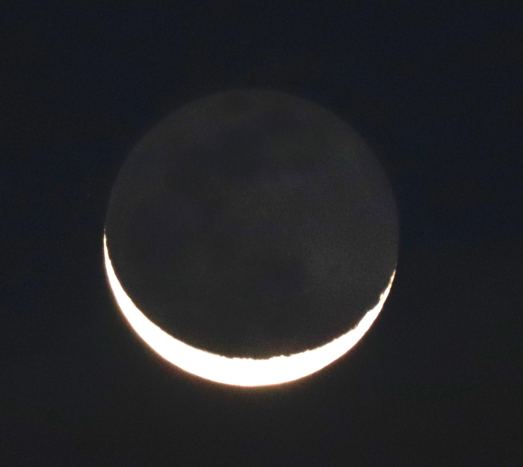 小春日日和。。。 ! !_a0248459_15074568.jpg