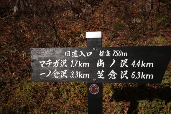 小春日日和。。。 ! !_a0248459_15104082.jpg