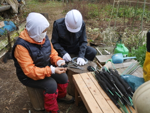 山桜の苗木の野ウサギ対策完了：11・12六国見山手入れ（上）_c0014967_10011568.jpg