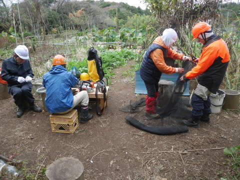 山桜の苗木の野ウサギ対策完了：11・12六国見山手入れ（上）_c0014967_10012601.jpg
