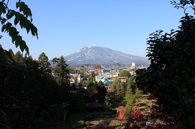 藤田記念庭園を秋さんぽ_2020.11.12撮影_d0131668_15195016.jpg