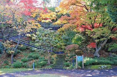 藤田記念庭園を秋さんぽ_2020.11.12撮影_d0131668_15212798.jpg