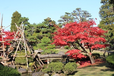 藤田記念庭園を秋さんぽ_2020.11.12撮影_d0131668_15270132.jpg