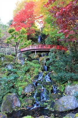 藤田記念庭園を秋さんぽ_2020.11.12撮影_d0131668_15274520.jpg