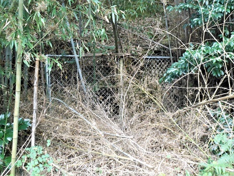 旧海軍地下工場への入り口?_e0175370_11125344.jpg
