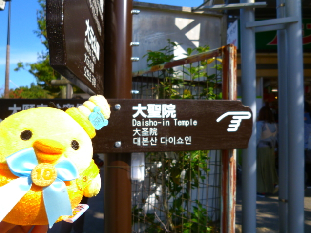 ☆トリ旅 in 広島県（弥山登山編）☆_f0351775_13164977.jpg