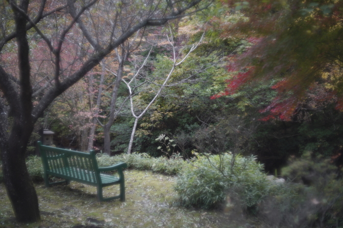 そう言えば、有ったな・アンジェニュー50mm f1.5_e0006135_23071721.jpg