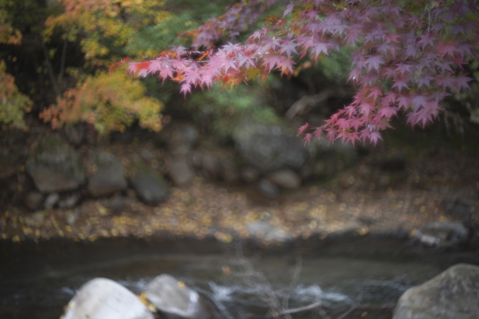 そう言えば、有ったな・アンジェニュー50mm f1.5_e0006135_23082114.jpg