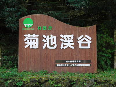 2020年の菊池渓谷&菊池、阿蘇スカイラインの紅葉は今が見ごろ!ビューポイント&穴場スポット紹介!_a0254656_16521313.jpg
