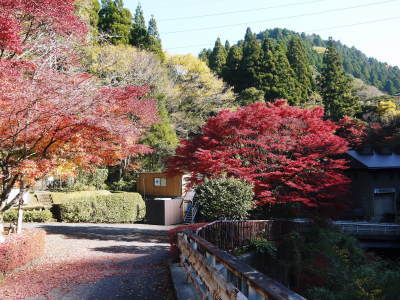 2020年の菊池渓谷&菊池、阿蘇スカイラインの紅葉は今が見ごろ!ビューポイント&穴場スポット紹介!_a0254656_17055035.jpg