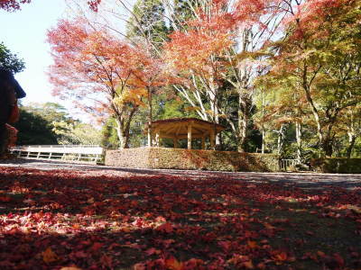 2020年の菊池渓谷&菊池、阿蘇スカイラインの紅葉は今が見ごろ!ビューポイント&穴場スポット紹介!_a0254656_17115805.jpg