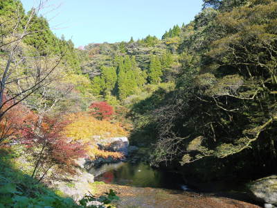 2020年の菊池渓谷&菊池、阿蘇スカイラインの紅葉は今が見ごろ!ビューポイント&穴場スポット紹介!_a0254656_18222248.jpg