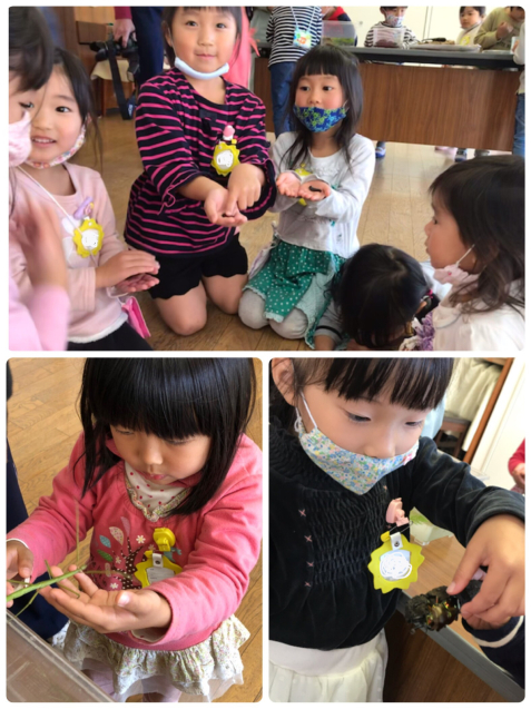 むしとあそぼう!!_f0324461_13110418.jpg