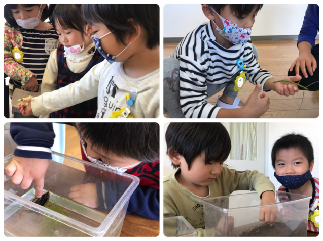 むしとあそぼう!!_f0324461_13110656.jpg