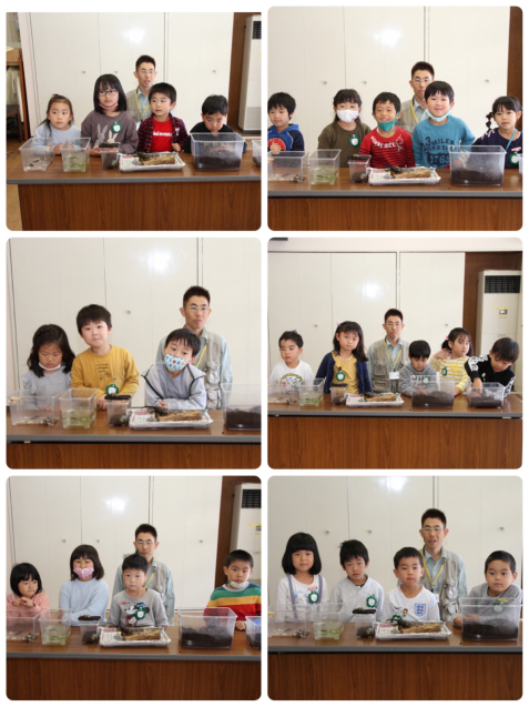 むしとあそぼう!!_f0324461_18144882.jpg
