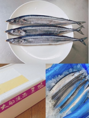 気仙空想文化祭実行委員会のみなさんから頂いた秋刀魚!_a0087471_16103374.jpeg