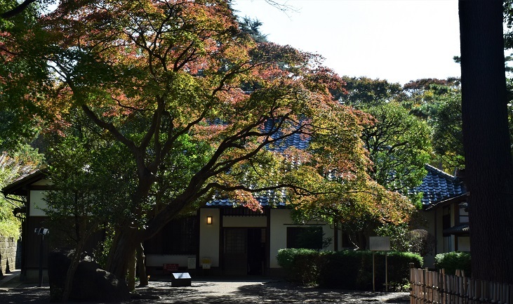 紅葉をさがして~旧小坂家住宅へ_d0099791_21223360.jpg