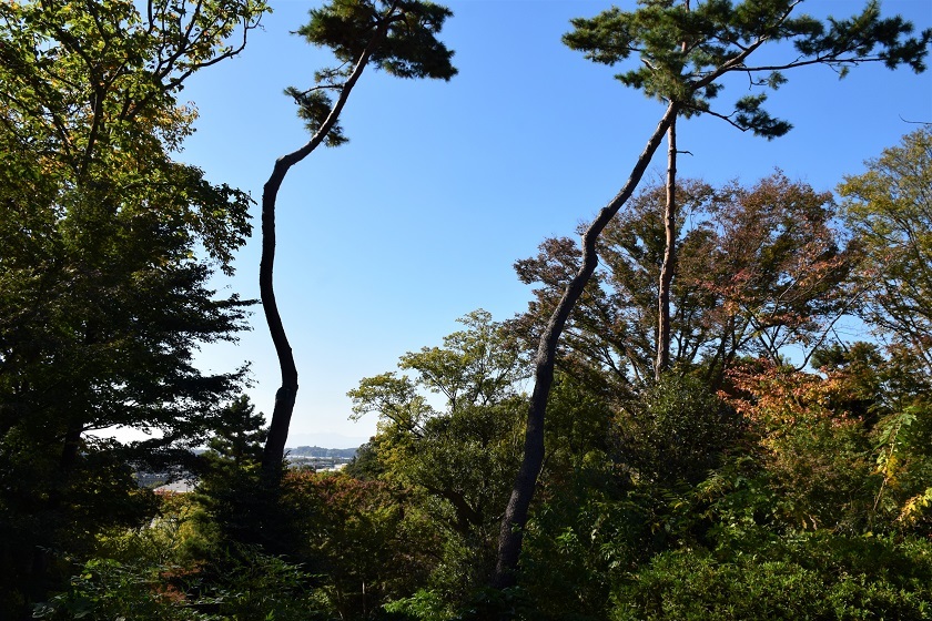 紅葉をさがして~旧小坂家住宅へ_d0099791_21302001.jpg