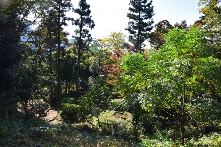 紅葉をさがして~旧小坂家住宅へ_d0099791_21532211.jpg