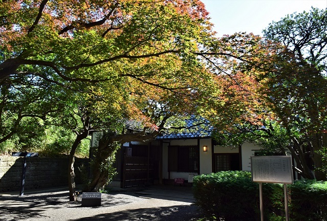 紅葉をさがして~旧小坂家住宅へ_d0099791_22024390.jpg