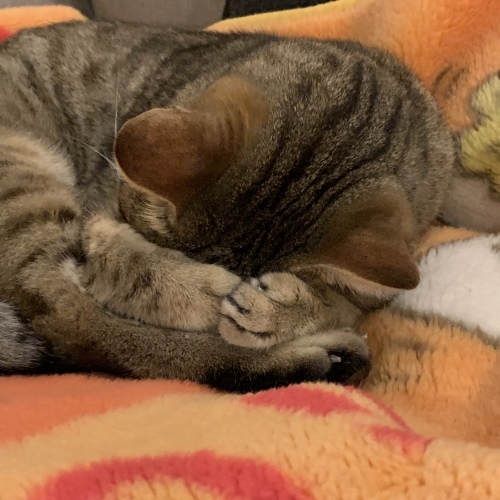 見ているだけで_e0358096_20095028.jpeg