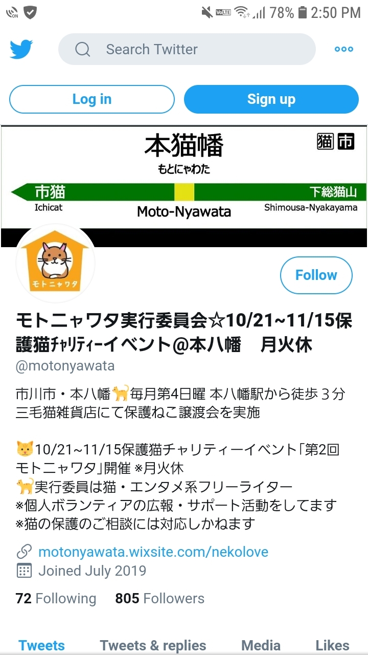 モトニャワタ 最終日 シマシマ日記 モトニャワタ 最終日 シマシマ日記