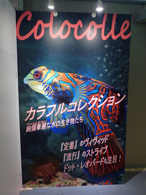 名古屋港水族館～特別展「カラフルコレクション」【前編】_b0355317_12405325.jpg