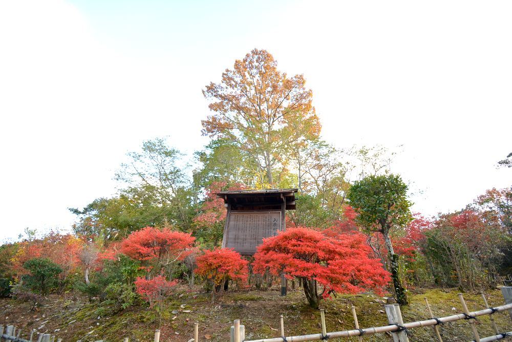 3丁目入鹿村古墳付近の紅葉_e0373930_22394366.jpg