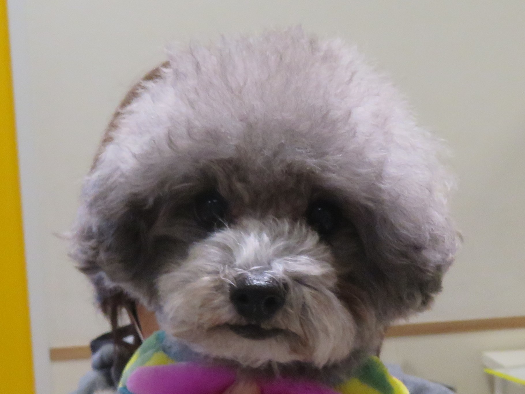 11 月 15 日の写真_c0174644_10481335.jpg