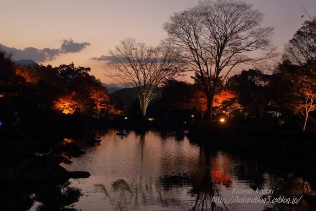 桜山公園ライトアップ 風の彩りー３